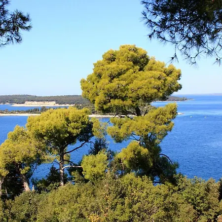 For Families With Children Stinjan, - 7423 Apartamento Pula